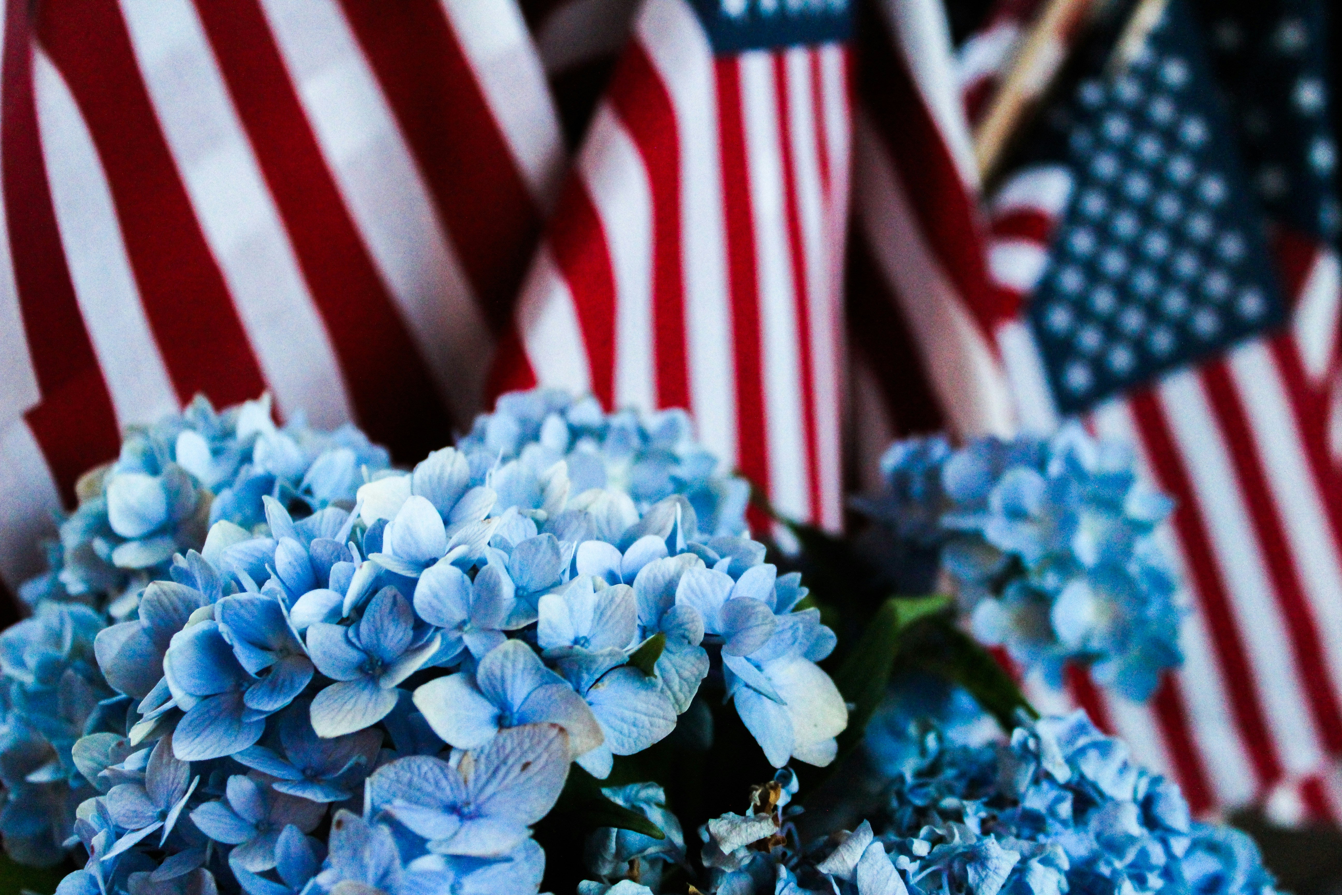 patriotic decor ideas