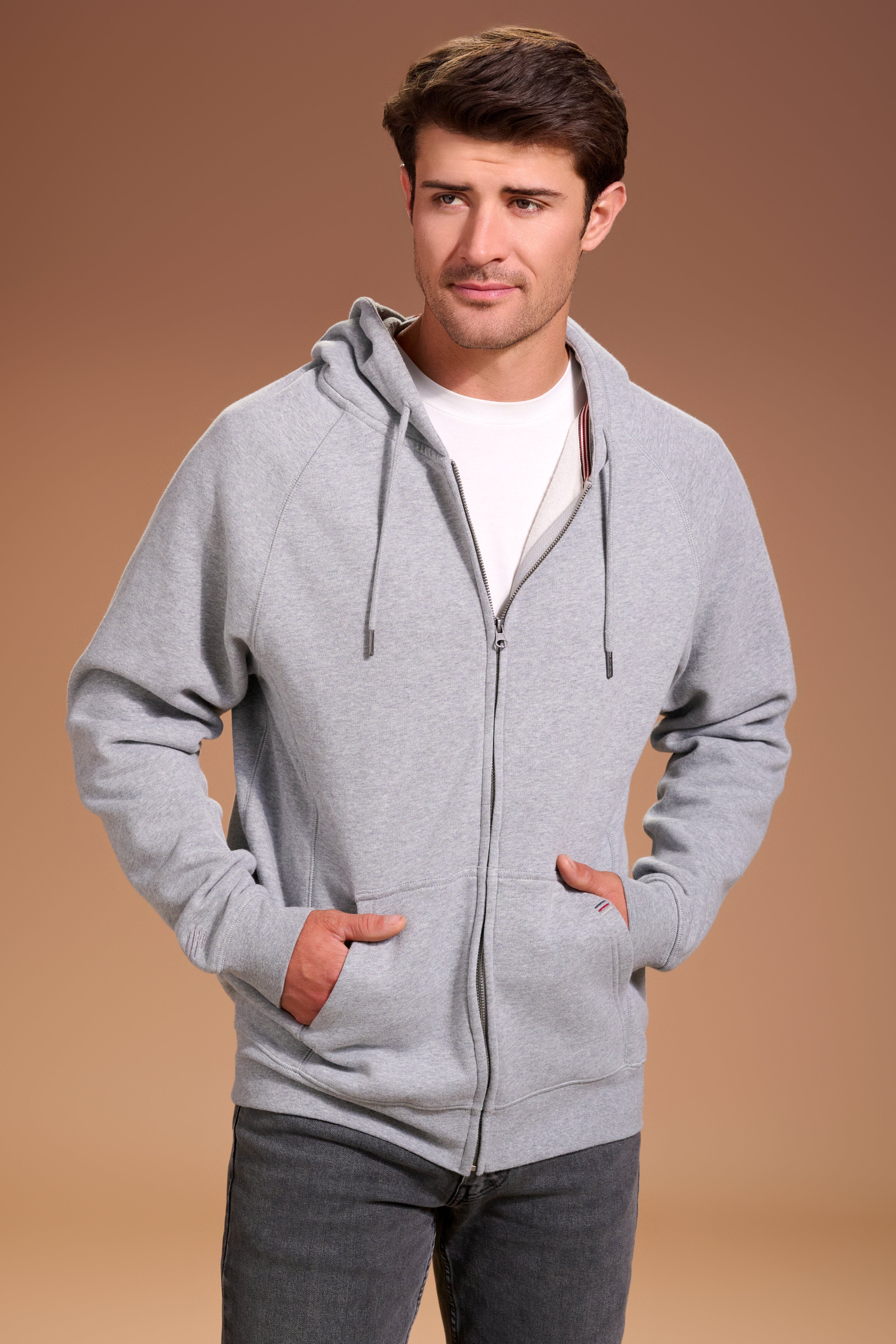 Flagship Full Zip Hoodie Mens #color_light grey