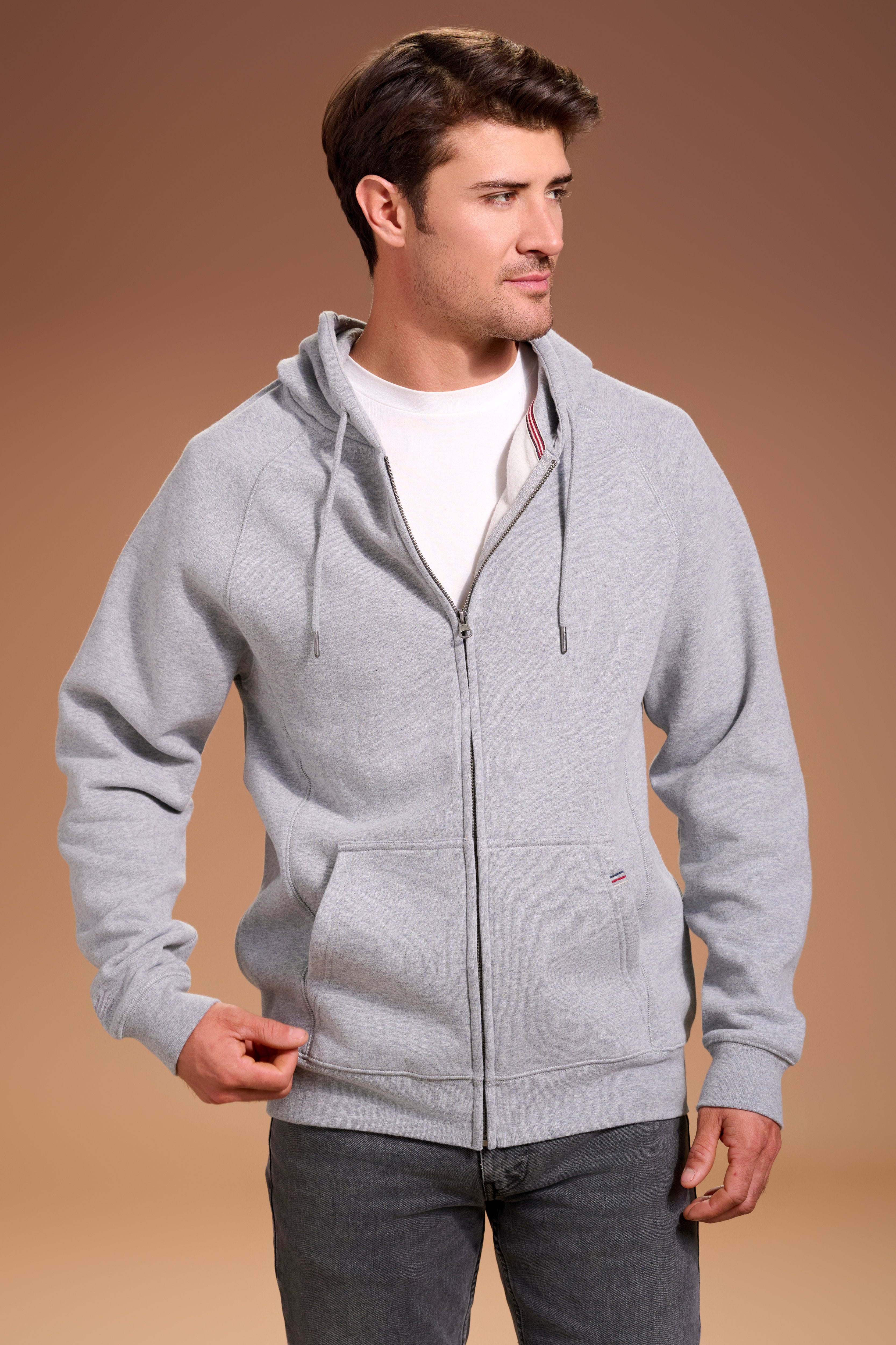 Flagship Full Zip Hoodie Mens #color_light grey